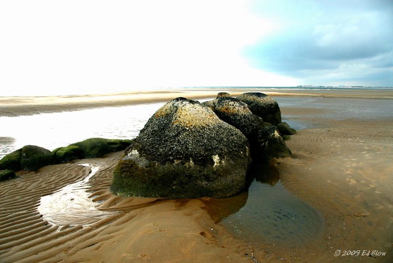 Afternoon's low tide.jpg